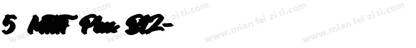 5 MTHF Plus B12字体转换